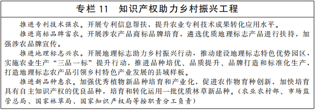 “十四五”国家知识产权保护和运用规划印发(图12)