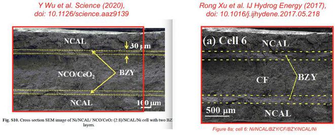 中国学者《科学》论文首被撤稿举报者：可以重做研究再提交(图1)