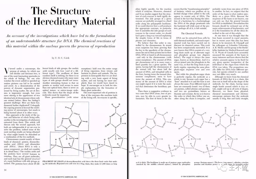 用一本杂志丈量科学的历程：《科学美国人》2021年PDF版合集免费下载(图5)