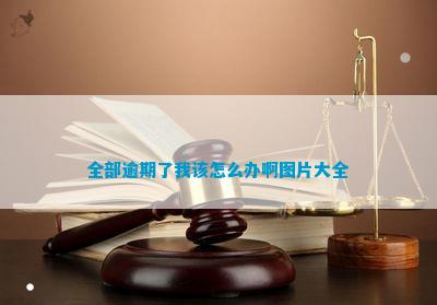 全部逾期了我该怎么办啊图片大全(图2)