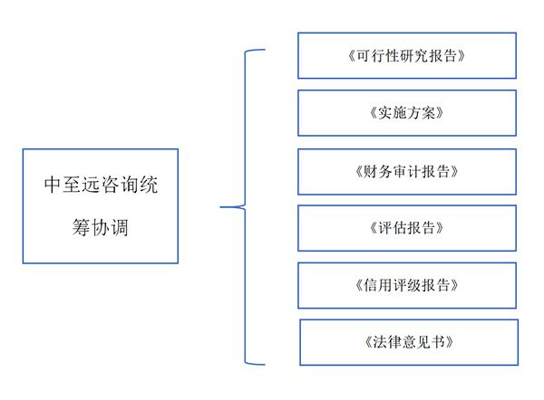 中至远集团：地方政府专项债发行综合咨询服务方案(图3)